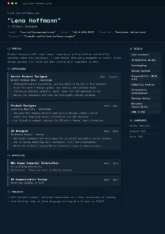Tech Terminal CV template, in the Midnight colour scheme